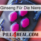 Ginseng Für Die Niere 02